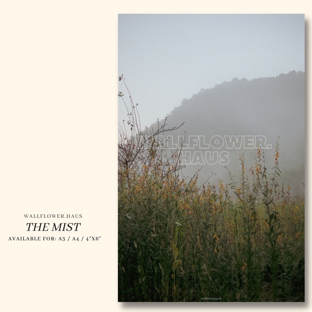 โปสเตอร์ โปสการ์ดแต่งห้อง A3/A4/4”x6” “NN02-The Mist" แต่งห้องโทนธรรมชาติ คุณภาพดี - wallflower.haus