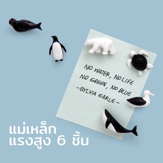 Qualy Design  - Save The Ocean Magnet แม่เหล็กติดตู้เย็น ติดกระดาน แม่เหล็กแรงดูดสูงรุ่นแพนกวิน QL10311