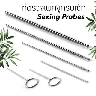 ‼️พร้อมส่ง‼️ที่ตรวจเพศงู Sexing Probes ตรวจเพศงู อุปกรณ์เลี้ยงงู เลี้ยงงู ตรวจเพศ งูบอล บอลไพธอน