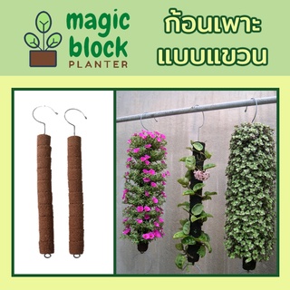 Magicblock ก้อนเพาะปลูกมหัศจรรย์แบบแขวนรูปต่าง ๆ