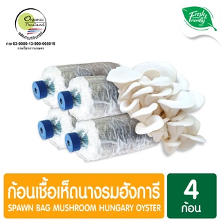 ก้อนเชื้อเห็ดนางรมฮังการี แพ็ค 4 ก้อน Spawn Bag Mushroom Hungary Oyster