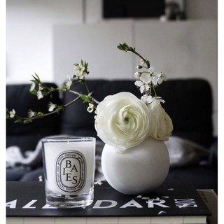 เทียนหอม Diptyque Baies 190g.