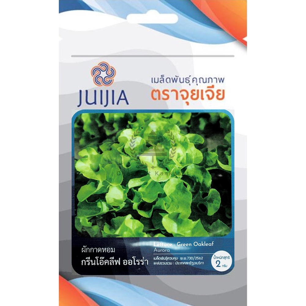 เมล็ดพันธุ์ กรีนโอ๊ค ลีฟออโรร่า 2 กรัม/ซอง ตราจุยเจีย