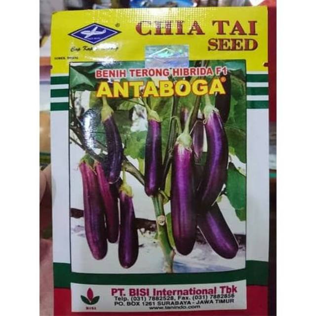 Ungu Antaboga Chai Tai Seed เมล็ดมะเขือยาวสีม่วง (10 กรัม)