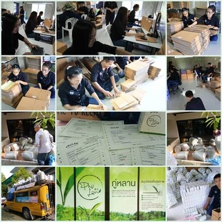 ส่งฟรี ชาชงภู่หลาน แบบทดลอง (7 ซอง) ของแท้จากยุ้ยภู่หลาน Phulan