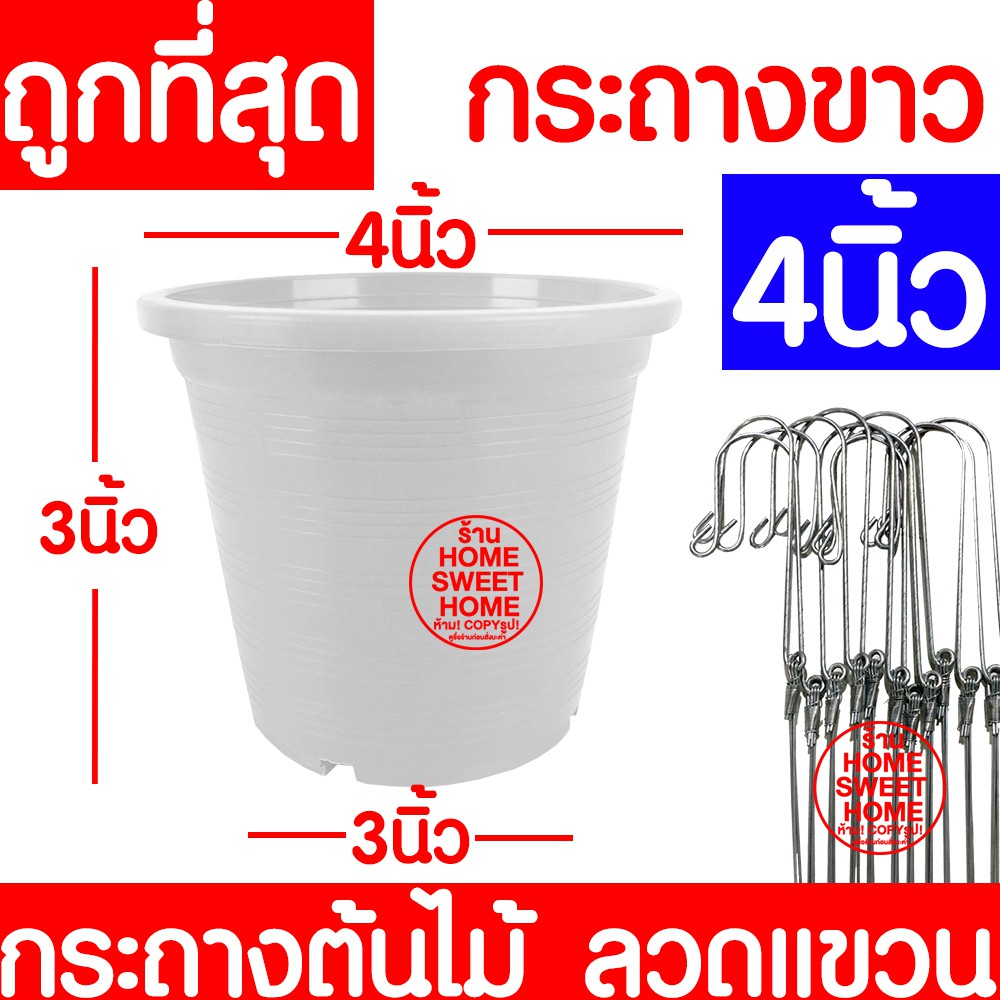กระถางเพาะชำ  4นิ้ว ขาว กระถางต้นไม้ ลวดแขวน กระถาง  เพาะปลูก ต้นไม้