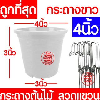 กระถางเพาะชำ  4นิ้ว กระถางขาว กระถางต้นไม้ ลวดแขวนกระถาง ลวดแขวนต้นไม้ กระถาง เพาะปลูก ต้นไม้