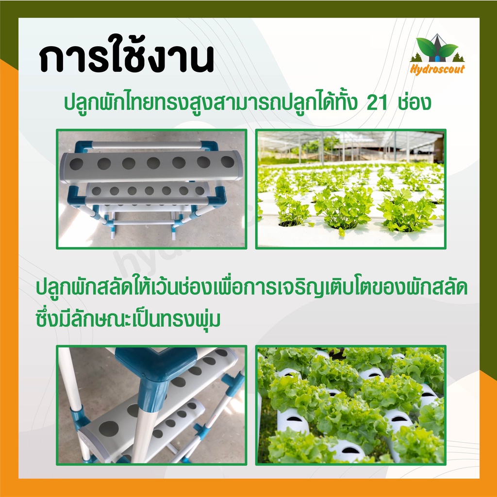 ชุดปลูกคอนโด ระบบน้ำนิ่ง 27 ช่อง by hydroponicgroup รูปที่ 6