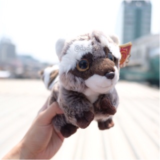 ตุ๊กตา Raccoon แรคคูน 7นิ้ว Anee Park