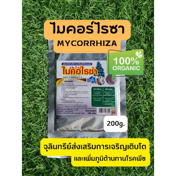ไมคอร์ไรซา Mycorrhiza เสริมการเจริญเติบโตของพืช ช่วยให้พืชโตเร็ว ขนาด 200 กรัม