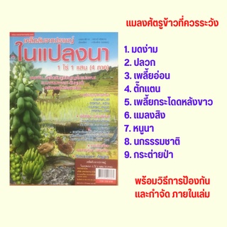 หนังสือเกษตร เคล็ดลับจากปราชญ์ในแปลงนา 1 ไร่ 1 แสน (4 ภาค) : ภูมิปัญญาการทำนา ปุ๋ยในนาข้าว เคล็ดลับในแปลงนา