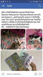 น้ำมันตับปลา สำหรับสัตว์เลี้ยง ช่วยให้ขนสวย ขนแน่นไม่หลุดร่วง สุขภาพดี กินง่าย ไม่มีกลิ่น