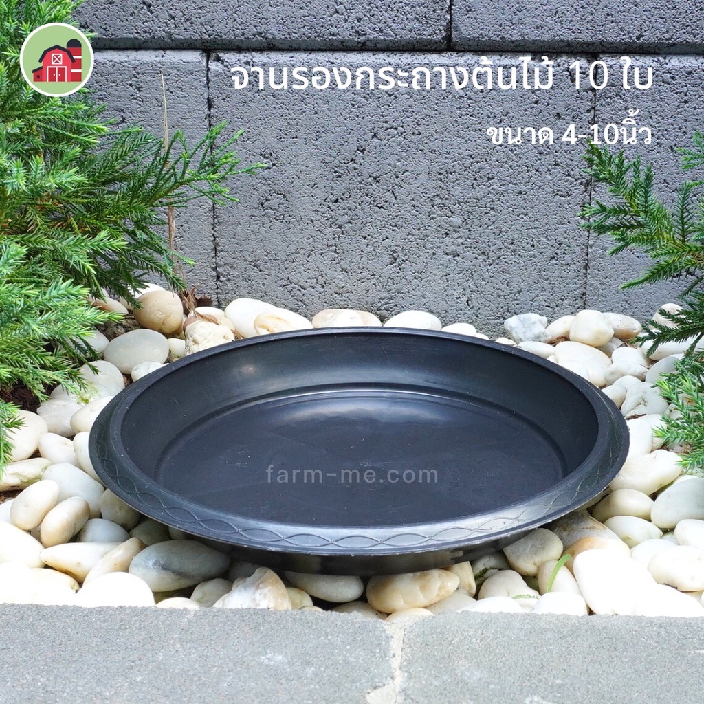 จานรองกระถางต้นไม้ 4-12นิ้ว 10ใบ จานรองพลาสติก