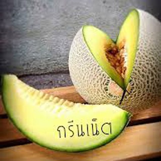 เมล็ดเมล่อน กรีนเน็ท