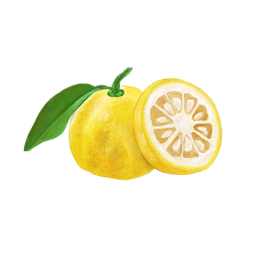 Fresh Yuzu Flavor (Golden Series) Flavor Library กลิ่นผสมอาหารนำเข้าจากต่างประเทศ