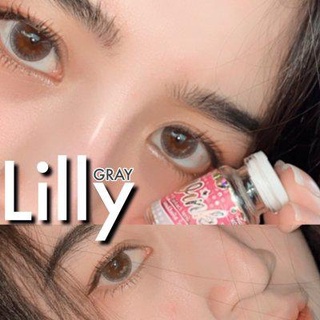 คอนแทคเลนส์ คอนแทคเลนส์แฟชั่น บิ๊กอาย Wink Contactlens ลาย LILLY Gray,Brown เลนส์นิ่ม สุดๆ ยืน1 เลนส์ใส่สบายตาทั้งวัน