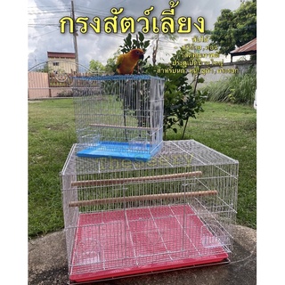 พร้อมส่ง 🔥 กรงนก หนู ชูก้า กระต่าย ไซต์จัมโบ้ ประตูใหญ่ (ฟรี คอน2+ถ้วย2)