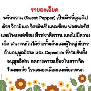 (ผู้ค้าส่งเมล็ดพันธุ์) เมล็ดพันธุ์ พริกหวานแคลิฟอร์เนียสีเขียว - Green Sweet Pepper บรรจุ 10 เมล็ดพันธุ์นำเข้าแท้ 100% น