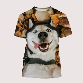 เสื้อยืดลําลอง แขนสั้น คอกลม พิมพ์ลาย Husky Malamute 3D แฟชั่นสําหรับผู้ชาย และผู้หญิง