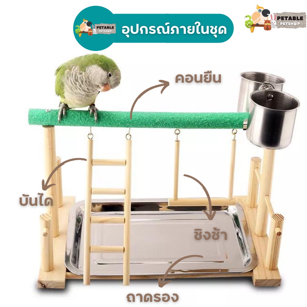 PetAble เซตคอนนก พร้อมชิงช้าและบันได มีถาดรอง ใช้สำหรับฝึกนก คอนฝึกนกพกพา ที่ยืนนก ฝึกนกบิน ของเล่นนก คอนนกยืน คอนฝึกนก