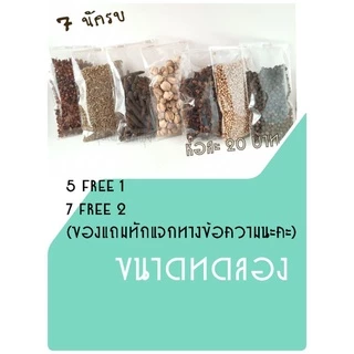 7 นักรบ ออริกาโน โรสแมรี่ ยี่หร่า เมล็ดผักชี กานพลู ลูกกระวาน พริกไทย ดีปลี พริกหอม