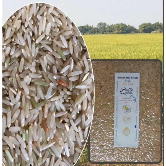 ข้าวกล้องหอมมะลิเกษตรอินทรีย์ organic พันธุ์ข้าว จ.สุรินทร์