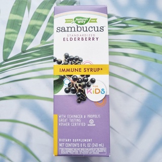 80% Sale!!! EXP: 06/23เอลเดอร์เบอร์รี่ Sambucus for Kids, Standardized Elderberry, Original Syrup 240 ml (Natures Way®)