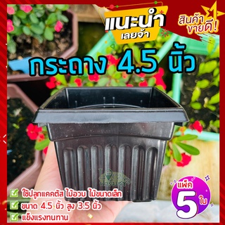 แพ็ค 5 ใบ 🏡 กระถางต้นไม้ 4.5 นิ้ว กระถางแคคตัส กระถางไม้อวบน้ำ กระถางพลาสติกสี่เหลี่ยม กระถางเล็ก