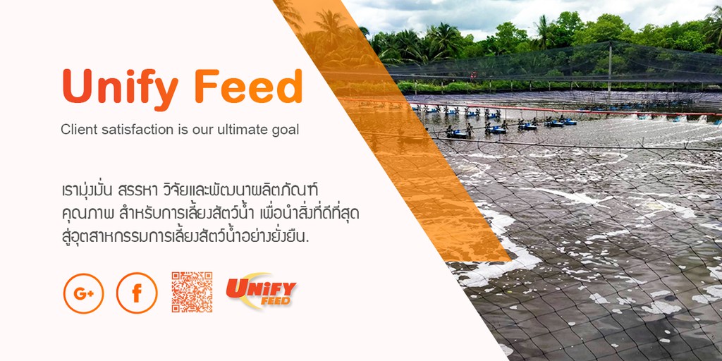 Unify Feed, ร้านค้าออนไลน์ Shopee Thailand