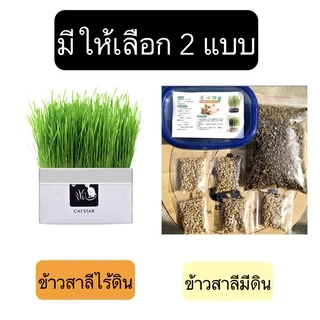 AL-380 ชุดปลูกข้าวสาลี ออร์เเกนิค สำหรับสัตว์เลี้ยง แมว กระต่าย ข้าวสาลีสำหรับสัตว์เลี้ยง ราคาถูก พร้อมส่ง😍🌾