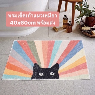 🔥พร้อมส่ง🐈‍⬛พรมเช็ดเท้าน้องแมว ขนาด40*60ซม. พรมขนนุ่มพร้อมยางกันลื่น พรมลายแมวสีสันสดใส สไตล์เกาหลี