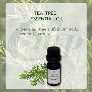 น้ำมันหอมระเหยทีทรี Tea Tree Essential Oil