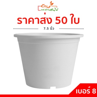 กระถางต้นไม้พลาสติก กระถางต้นไม้สีขาว กระถาง สีขาว 8 นิ้ว แพ็ค 50 ใบ