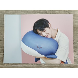 The Spring Home x Kang Daniel All You Need is Daniel Mini Bromide Poster โปสเตอร์ โบรไมด์ คังแดเนียล แบบที่ 3