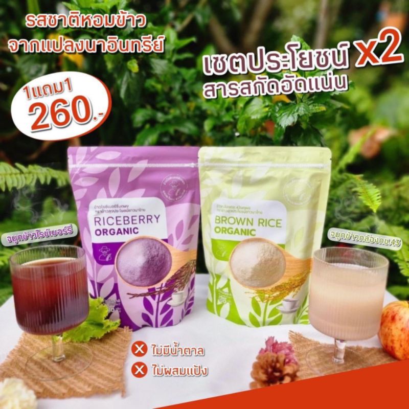 จมูกข้าวไรเบอร์รี่ จมูกข้าว กข 43 จมูกข้าวออเเกนนิค