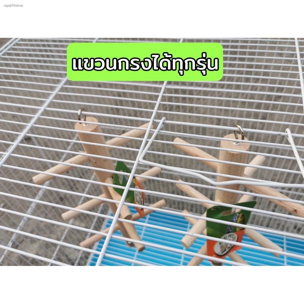 สินค้าเฉพาะจุดของเล่น นก กระรอก ไม้หนาม ปีนปาย ไม้นก ของเล่นนก ชูการ์ ...