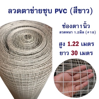 ลวดตาข่ายสี่เหลี่ยม ชุบPVC สีขาว ตา1"(สูง1.22เมตรxยาว30เมตร) ตะแกรงกรงนก ตาข่ายลวดล้อมไก่ กรงนกใหญ่ ตาข่ายเหล็ก