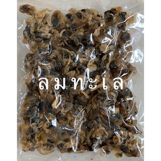 หอยกลม หอยกะสือ แดดเดียว หวานน้อย ทอดทานอร่อย
