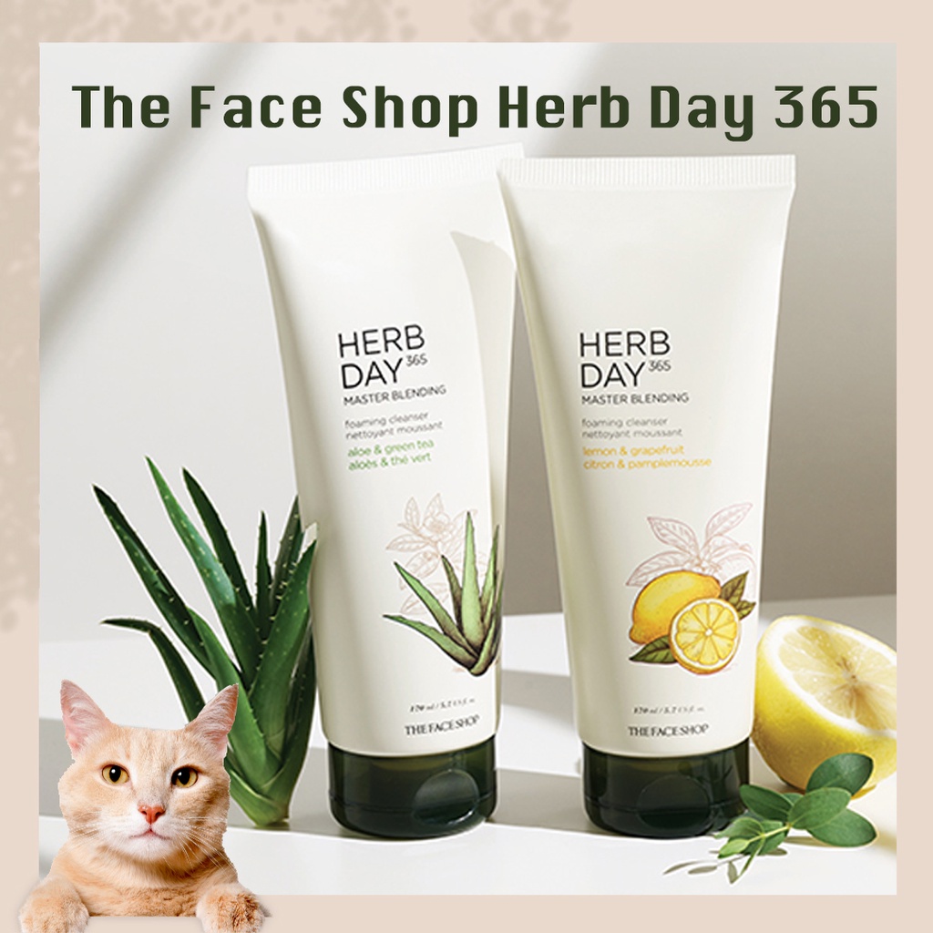พร้อมส่ง The Face Shop Herb Day 365 Master Blending Facial Foaming
