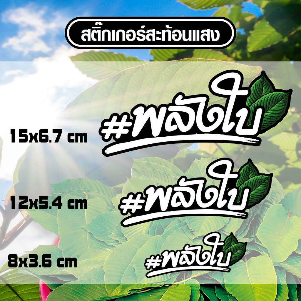 สติ๊กเกอร์สะท้อนแสง พลังใบ สินค้าพร้อมส่ง
