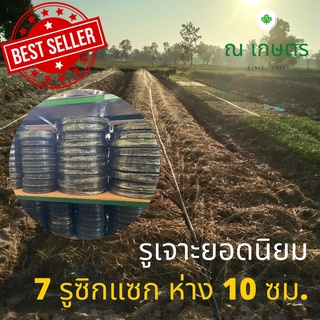 สินค้าขายดี เกษตรกรพึงพอใจ เทปน้ำพุ่ง6 หุน เจาะ 7 รู 10 ซม น้ำชุ่มกระจายทั่วแปลง ยาว 100 -  200 เมตร