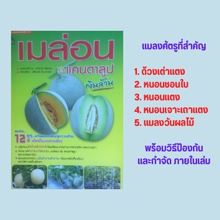 หนังสือเกษตร เมล่อน &amp; แคนตาลูป เงินล้าน : เมล่อน-แคนตาลูป ผลไม้ตระกูลแตงเงินล้าน การเตรียมต้นกล้าและการปลูก