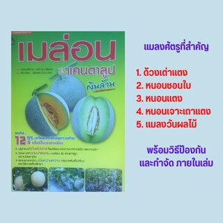 หนังสือเกษตร เมล่อน &amp; แคนตาลูป เงินล้าน : เมล่อน-แคนตาลูป ผลไม้ตระกูลแตงเงินล้าน การเตรียมต้นกล้าและการปลูก