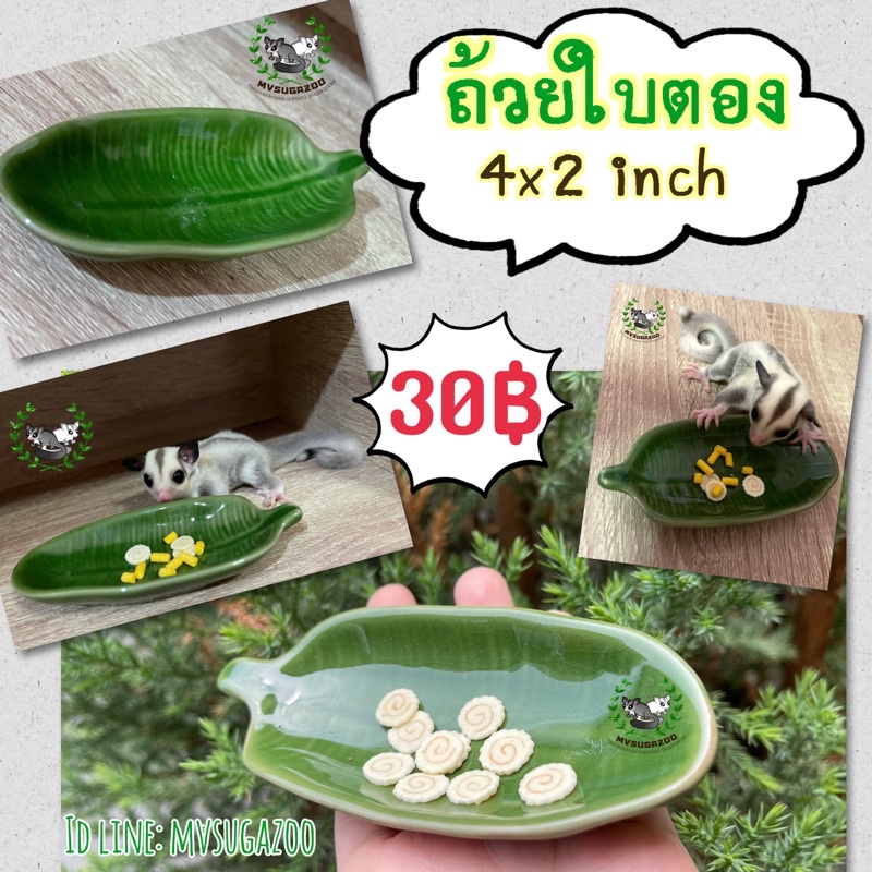 ถ้วยใบตอง เซรามิก ใส่อาหาร มี2ขนาด ชูก้า หนูแฮมเตอร์ กระรอก เม่นแคระ ฯลฯ