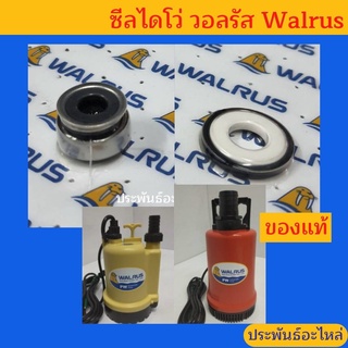 ซีลไดโว่ วอลรัส 1" 1.5" 2" ของแท่ ตรงรุ่น