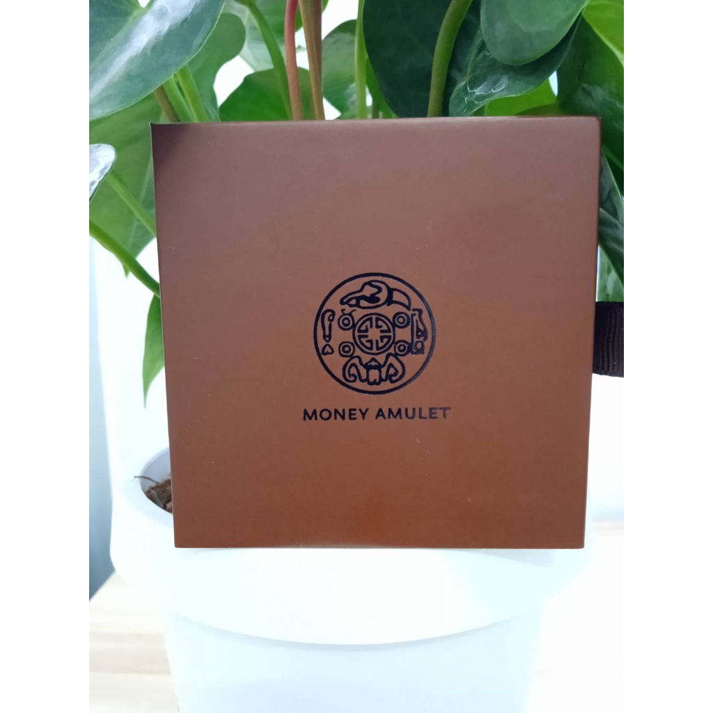 money amulet เหรียญนำโชค