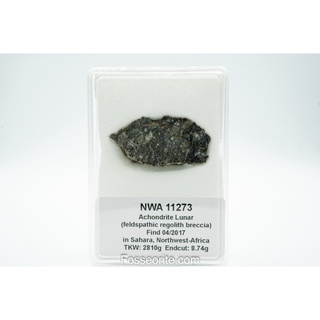 [ใหญ่มาก+8740mg] อุกกาบาตดวงจันทร์ NWA 11273 Lunar Achondrite Meteorite from Moon พร้อมใบรับรอง ของขวัญล้ำค่าจากฟ้า