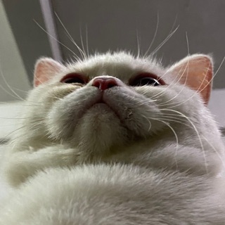 Profile NoName
