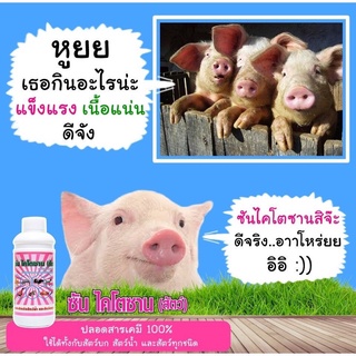 ซันไคโตซาน​ (สัตว์)​ สารสกัดจากธรรมชาติ100% ให้สัตว์แข็งแรงเจริญเติบโตมีภูมิต้านทานโรค ลดอัตราการป่วย การตายของสัตว์