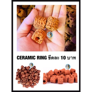 Ceramic Ring สีแดงอิฐ แบ่งขาย ขีดละ 10 บาท (เซรามิคริง มีรูพรุนสูง ใช้เป็นที่อยู่ของจุลินทรีย์ )